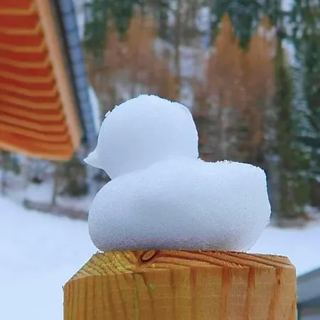 Apartamento Haus Fortuna *