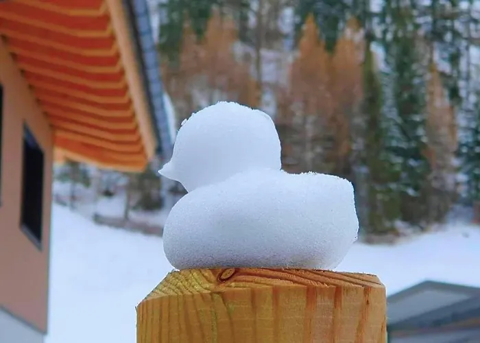 Apartament Haus Fortuna *